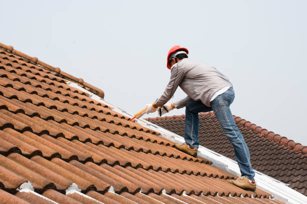 Best Roof Repair  in Colton, CA