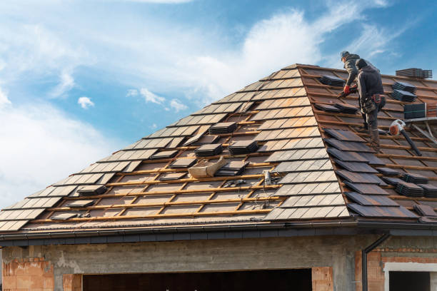 Best Roof Insulation Installation  in Colton, CA